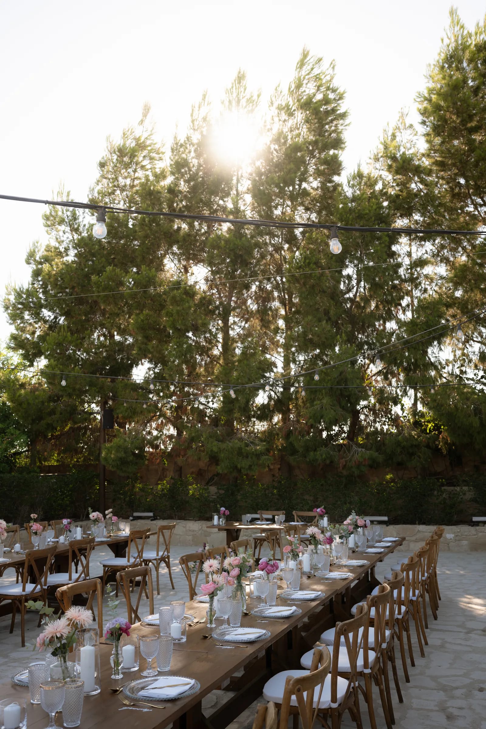 Long wooden banquet tables set with pink florals under the pines and festoon lights at Liopetro, Kouklia, Paphos.